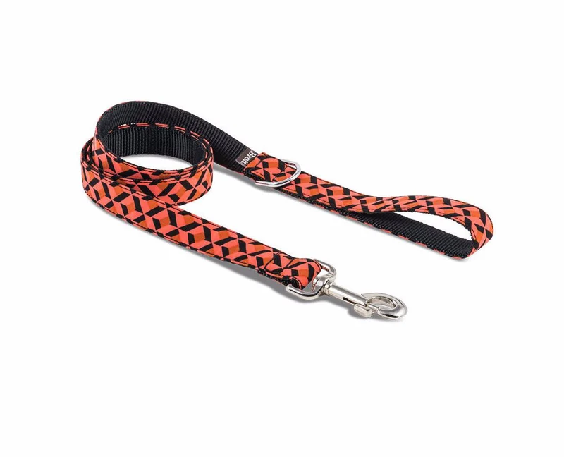 Laisse pour chien Er