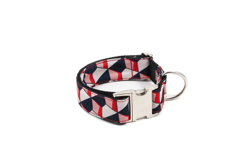 Collier pour chien Riells