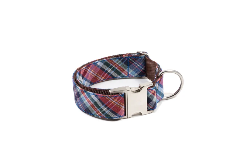 Collier pour chien Gosol