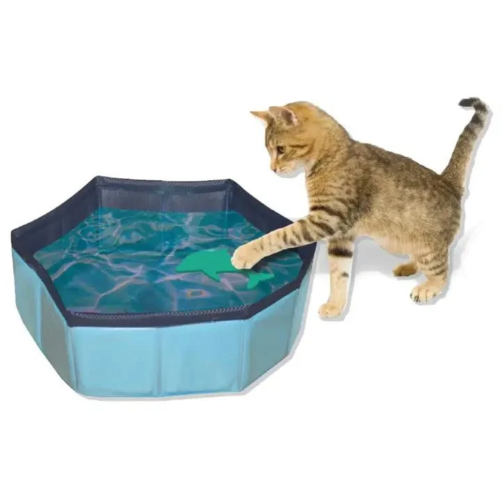 Jeu d’eau pour chat – Piscine pliable avec jouets à pêcher