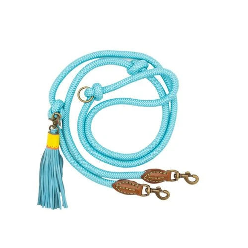 Laisse Extra Longue Bleue pour Chien