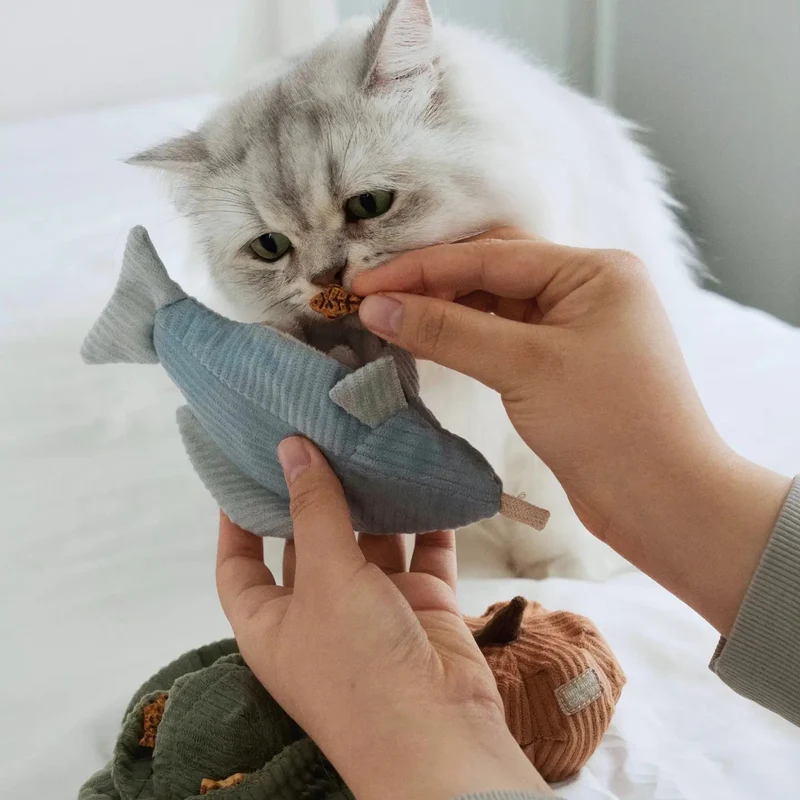 Jouet de Fouille pour Chat – Truite Kitty 🐟
