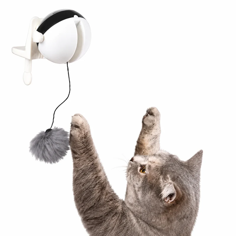 Balle Interactive pour chat - Attrap'Ball™