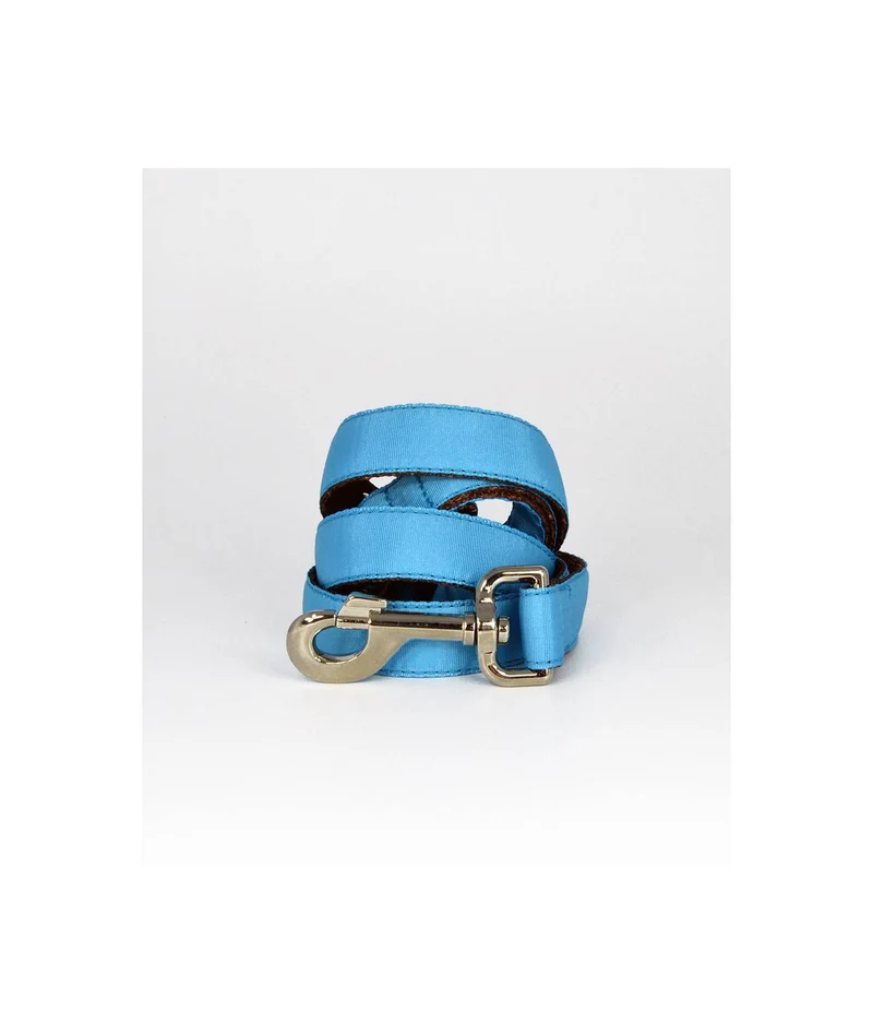 Laisse pour chien Solid Turquoise