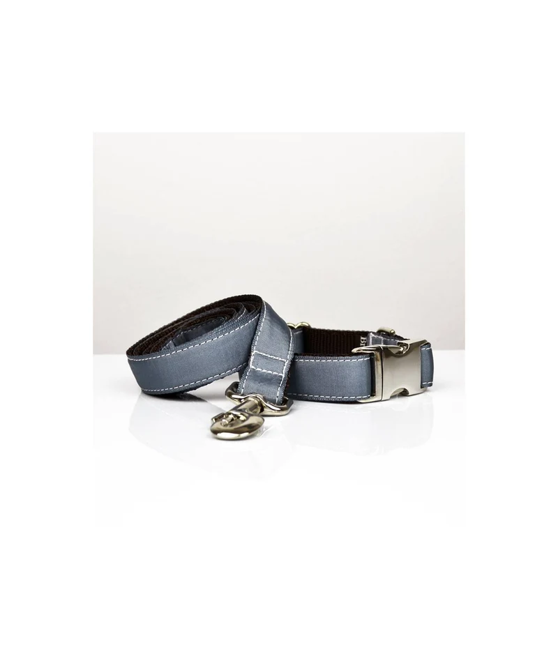 Collier pour chien Solid grey