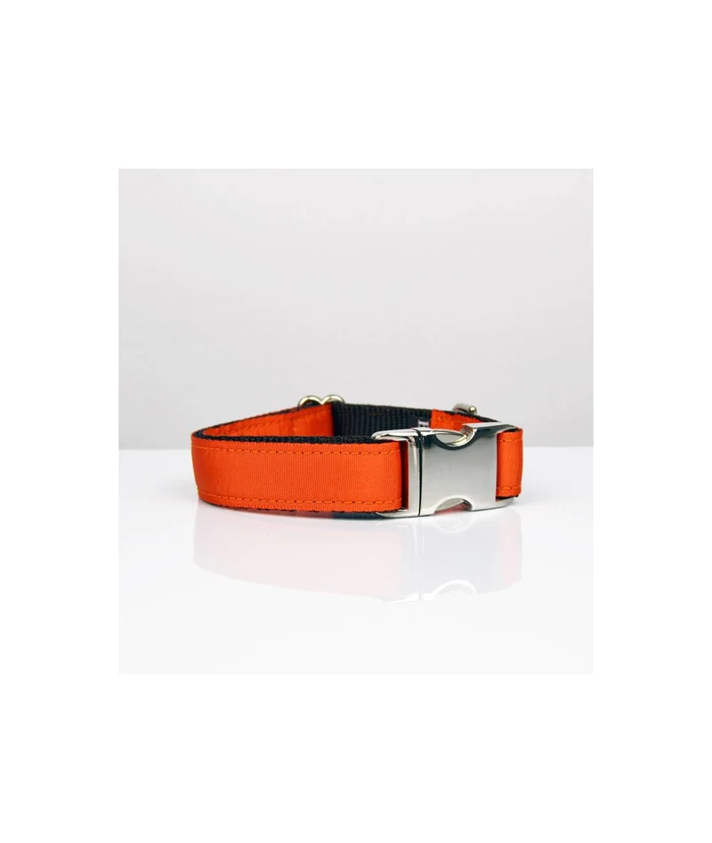 Collier pour chien Solid Orange