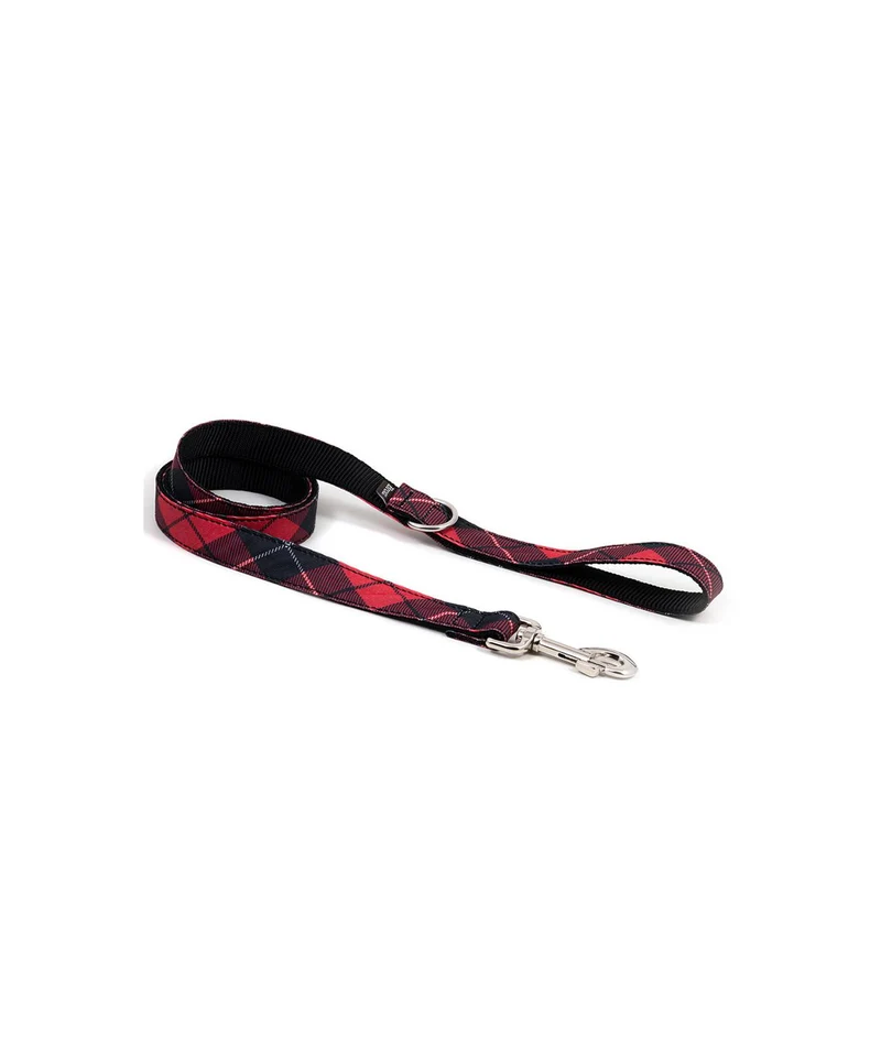 Laisse pour chien Bolvir