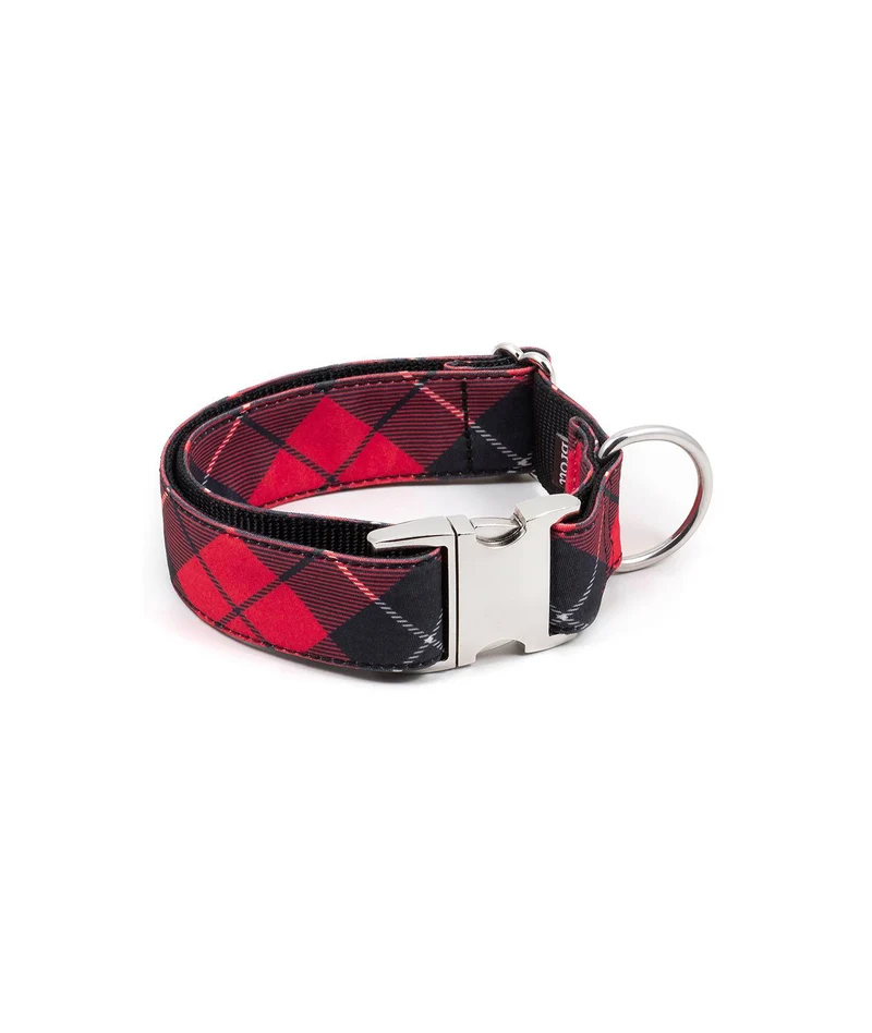 Collier pour chien Bolvir