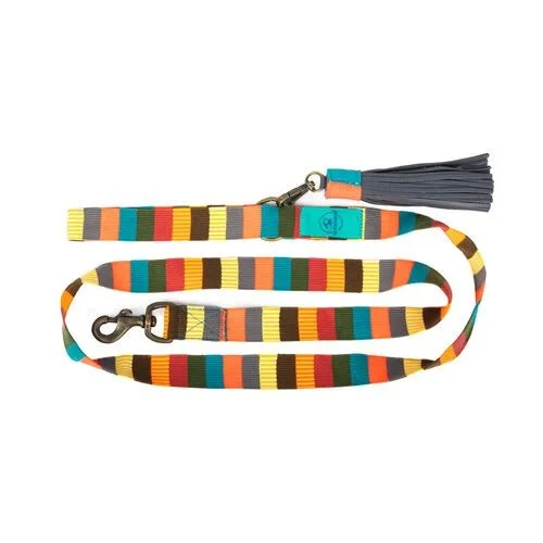 Laisse pour chien Mr & Mrs Smith - Design Coloré et Durable