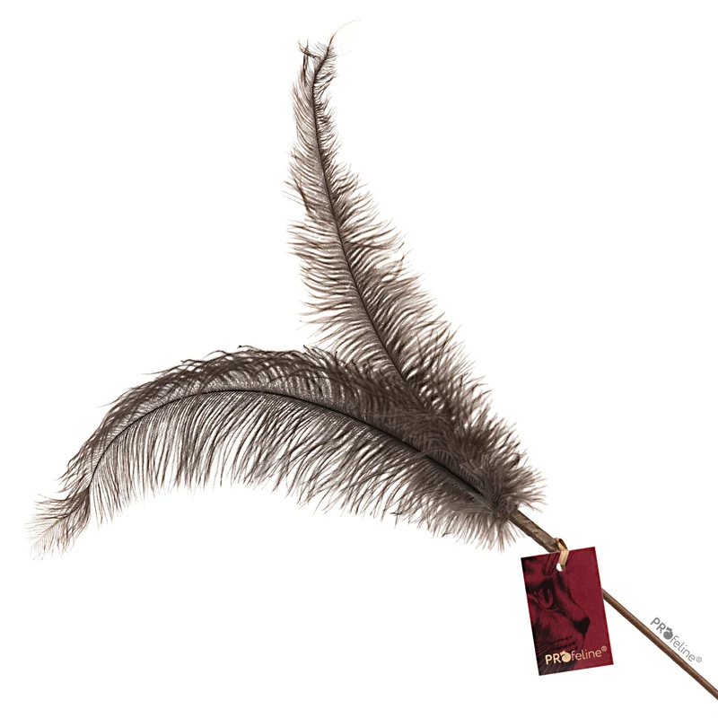 Jouet Plumeau pour chat en plumes d’autruche naturelles