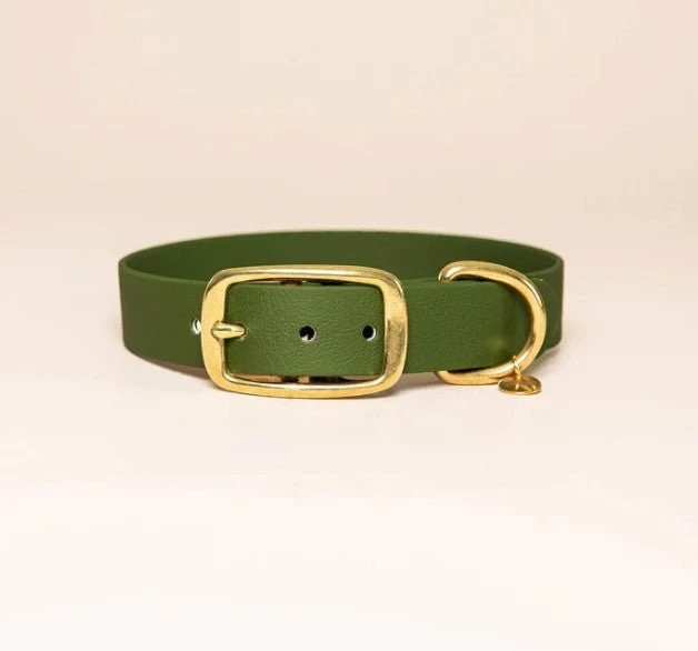 Collier pour chien imperméable "L'aventurier" Fidèle Paris - Vert Olive