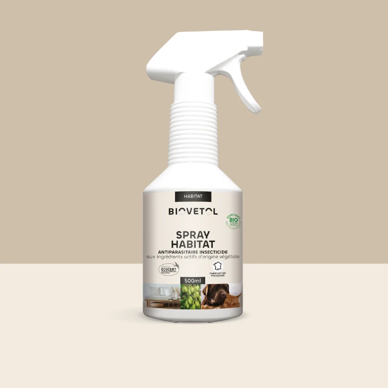Spray anti-puces naturel pour l'habitat