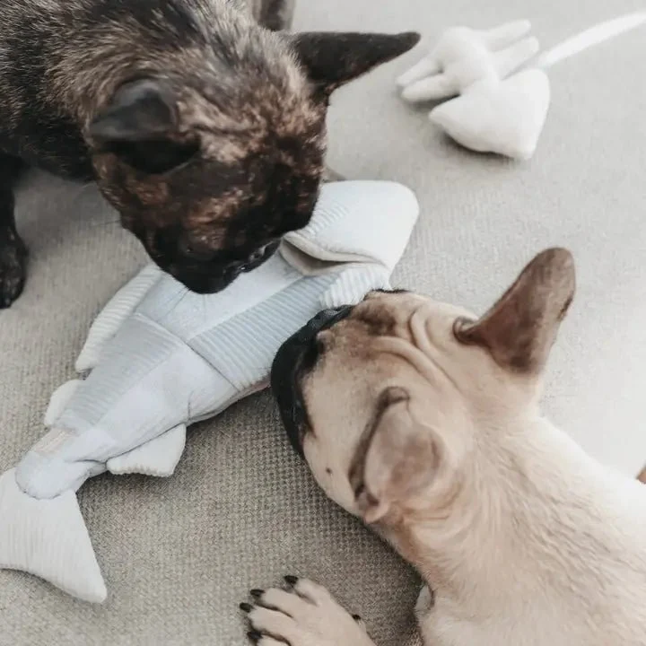 Jouet interactif d'occupation et de fouille pour chien - Truite