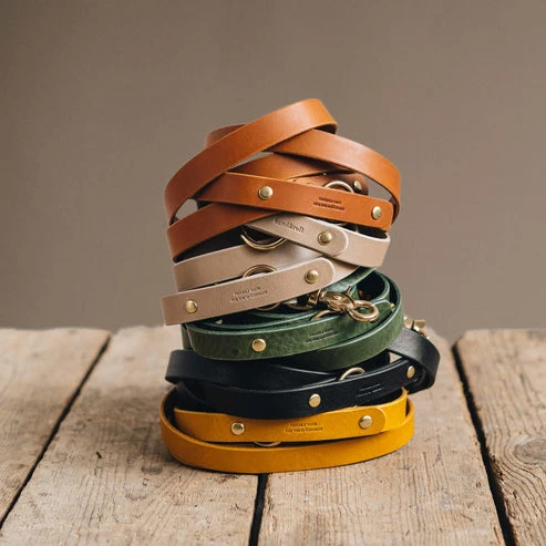 Laisse pour chien en cuir ajustable Lasso Band & Roll