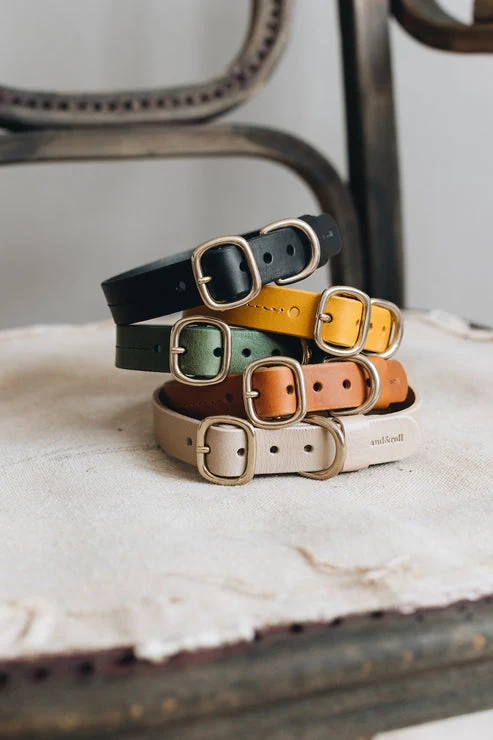 Collier pour chien en cuir Fir Band & Roll