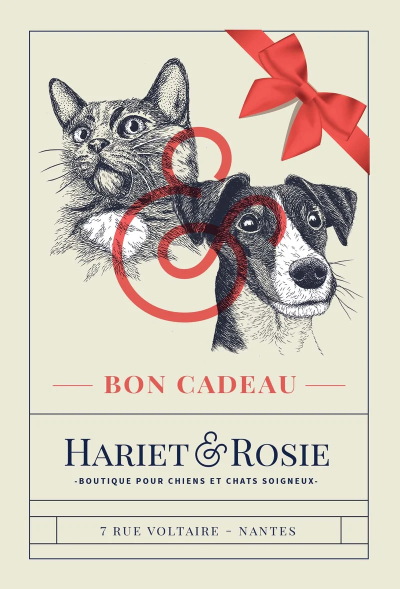 Carte cadeau