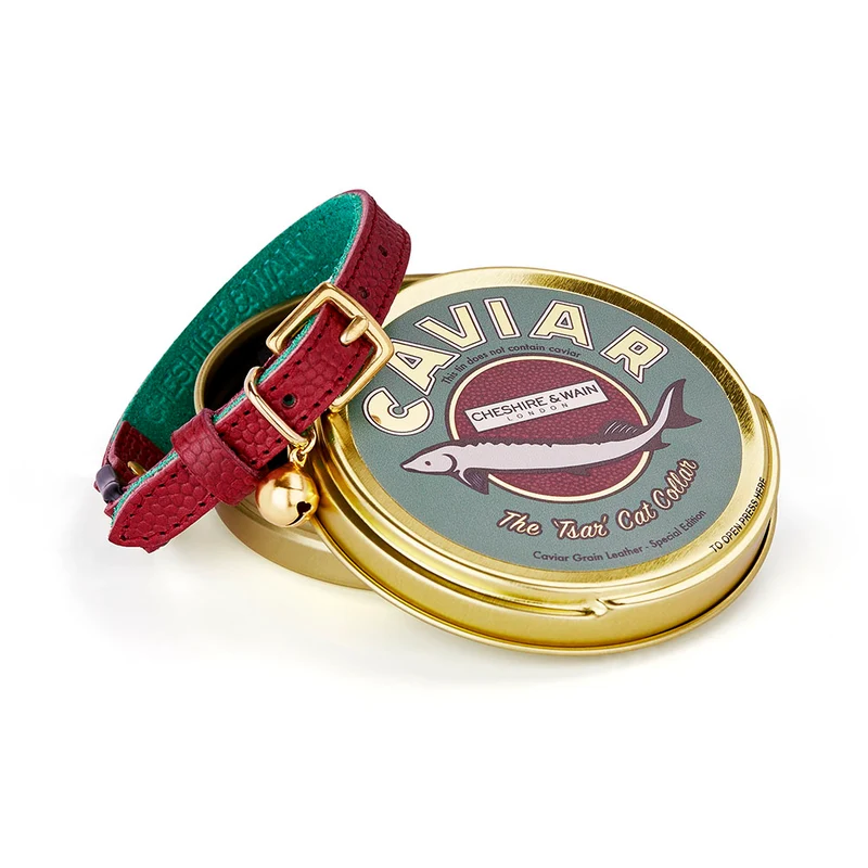 Collier pour chat en cuir Tsar Caviar