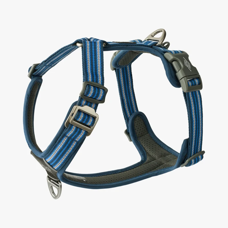 Harnais pour chien Comfort Walk Air Dog Copenhagen