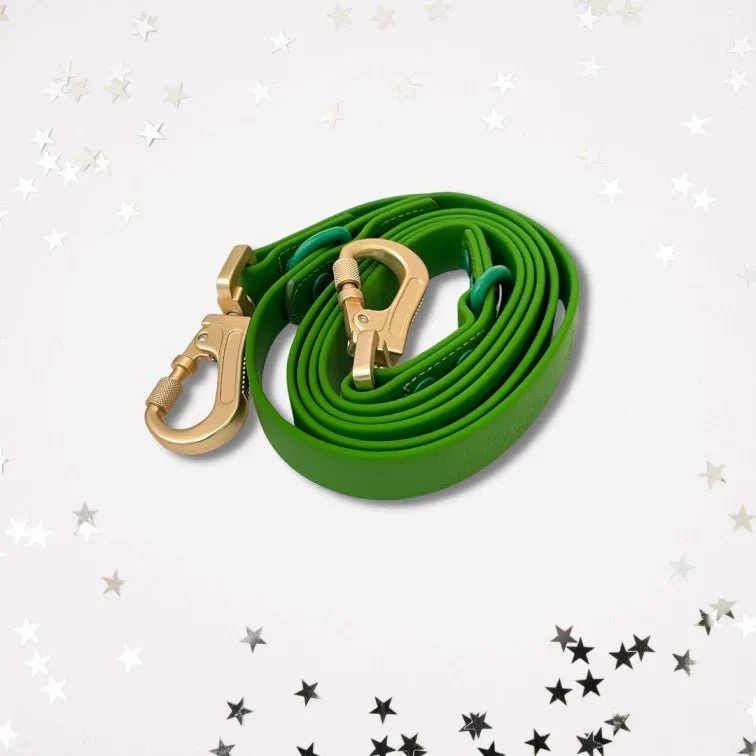 Laisse pour chien multi positionnable imperméable - Taurus Vert (PVC)