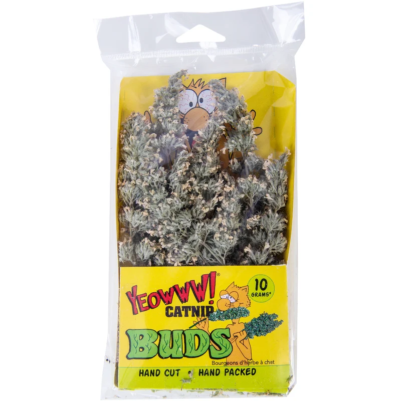 Ducky World - Bourgeons d'Herbe à Chat, Paquet de 6 Unités, 60 g