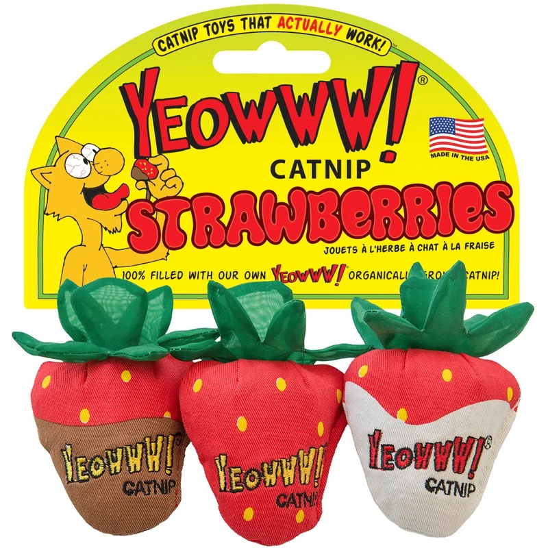 Ducky World - Trio de Fraises - Jouet d'Herbe à Chat