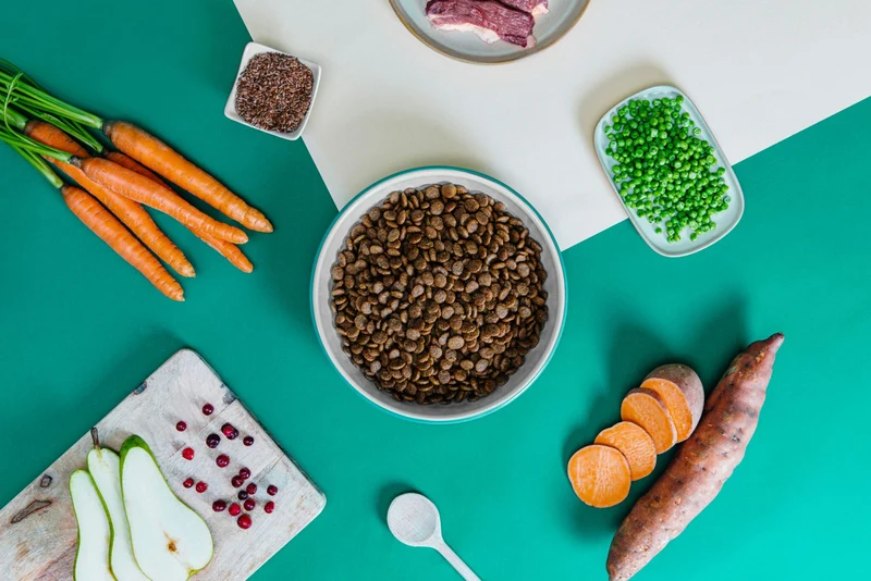 Croquettes Hypoallergéniques Premium au Canard Frais