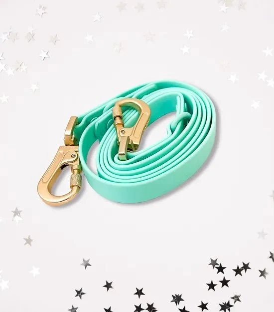 Laisse pour chien multi positionnable imperméable - Aquarius Turquoise (PVC)