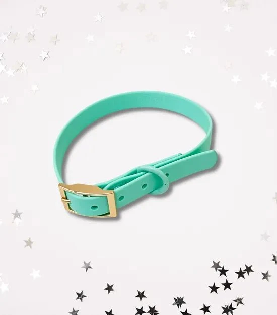 Collier imperméable pour chien Aquarius Turquoise (PVC)