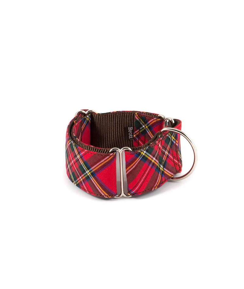 Collier pour chien écossais Tremp