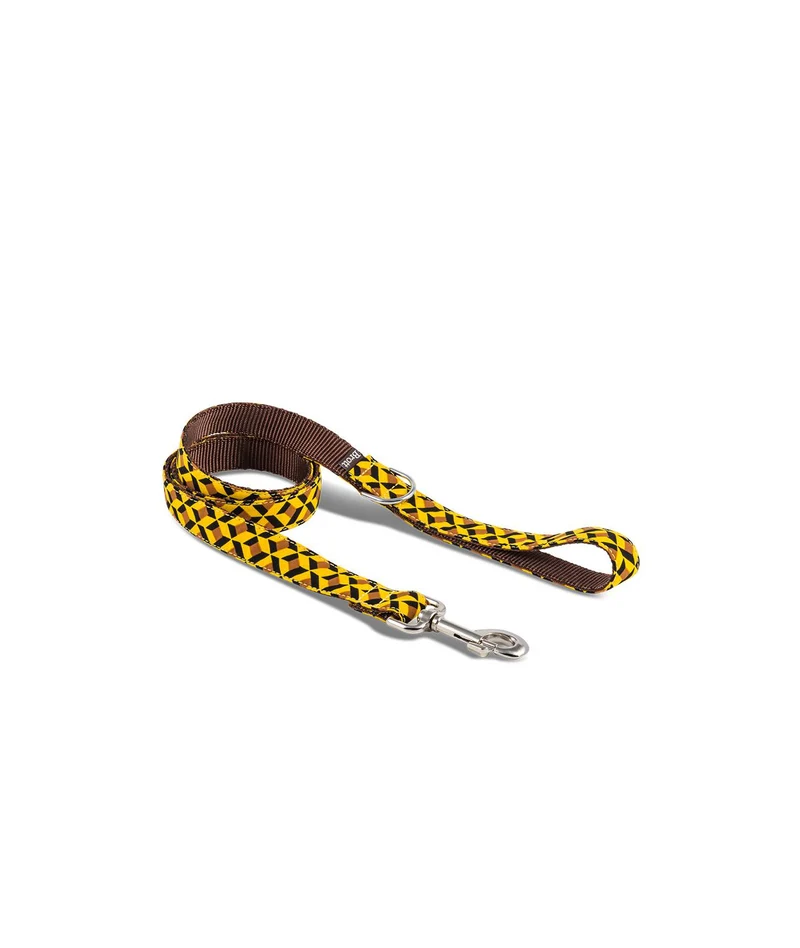 Laisse pour chien Ur