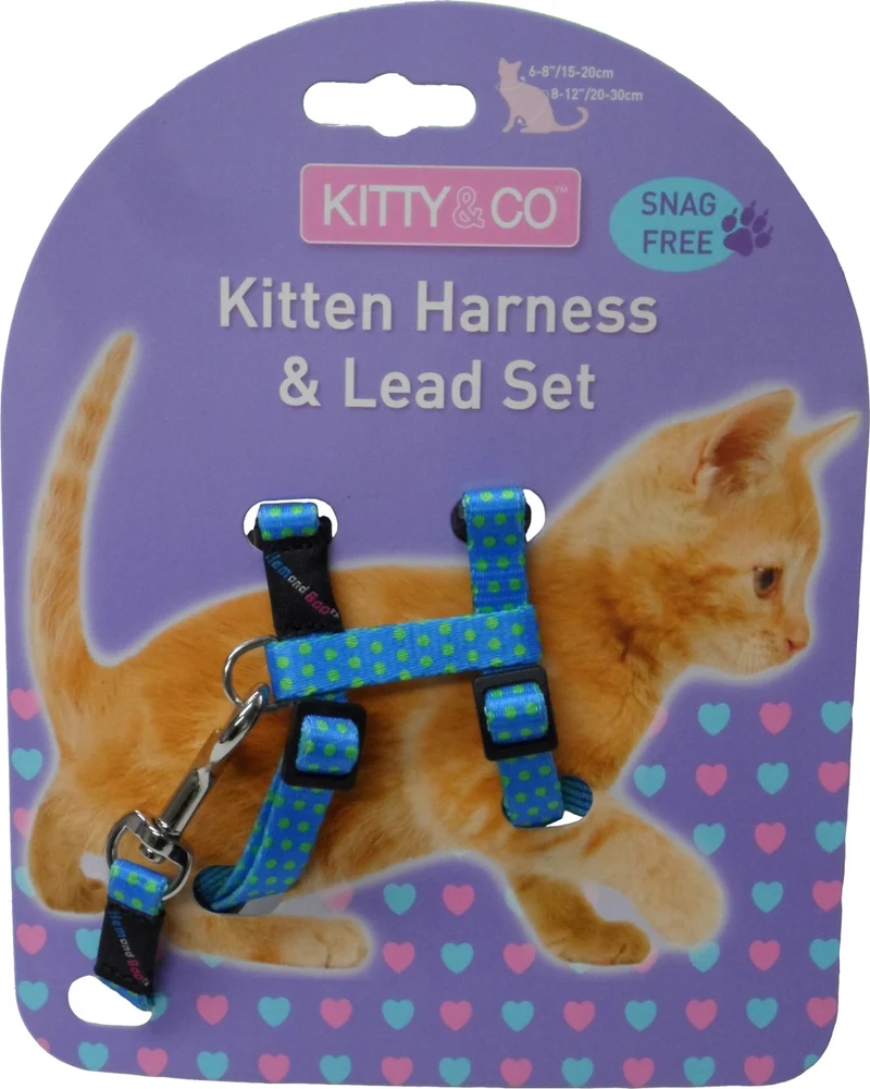 Harnais et laisse à pois pour chaton