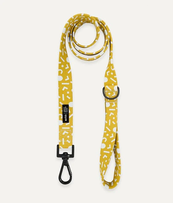 Laisse pour chien poignée 1m20 Memphis Jaune Moutarde