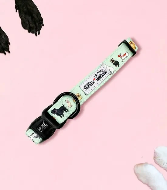 Collier en nylon à motifs pour chien - Coucou Suzette x Arizona Hotdogs