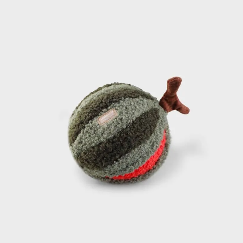 Jeu d’Occupation et de Fouille pour Chien – Balle Pastèque 🍉