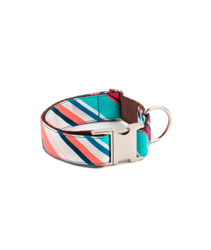 Collier pour chien Morisca