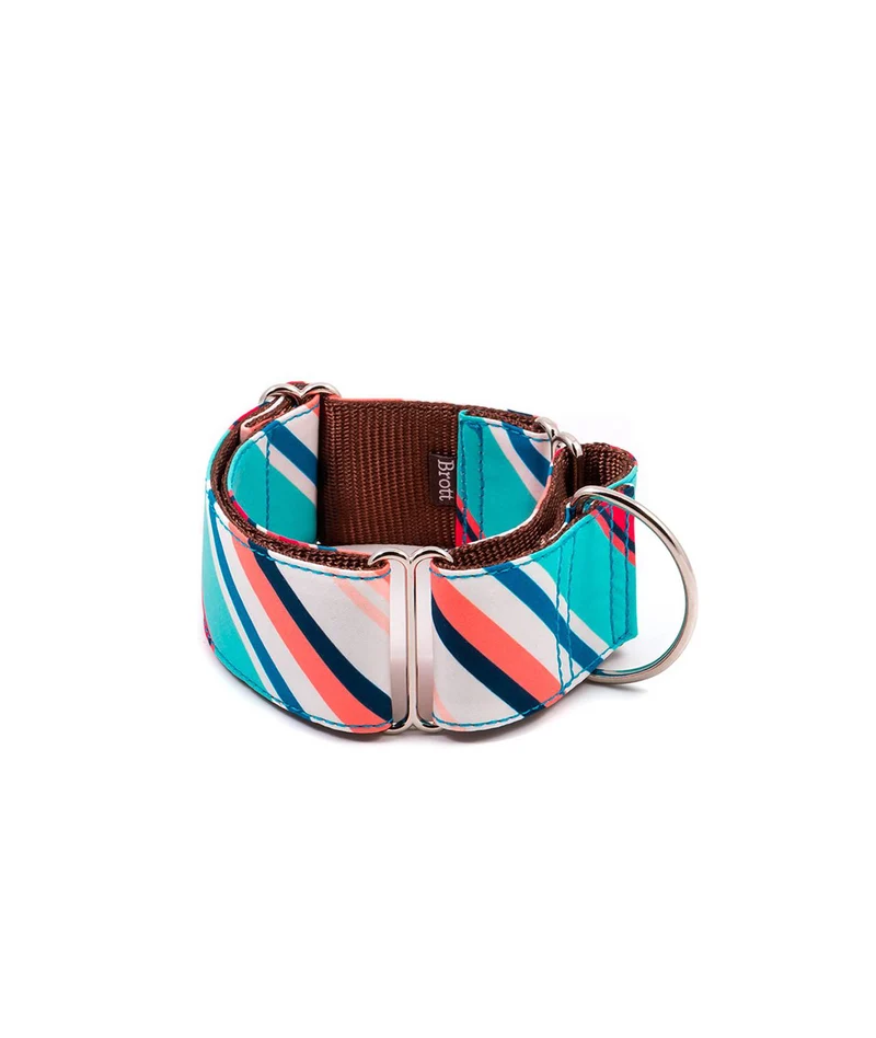 Collier pour chien Morisca