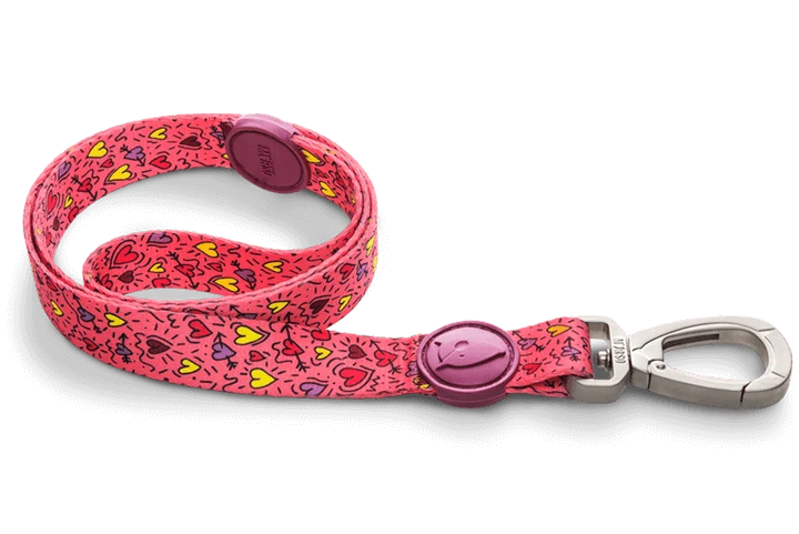 Laisse pour chien Pink Think