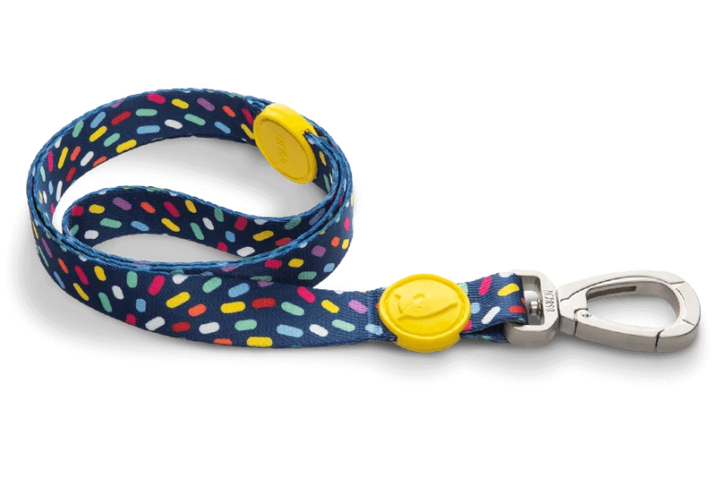 Laisse pour chien Color Invaders
