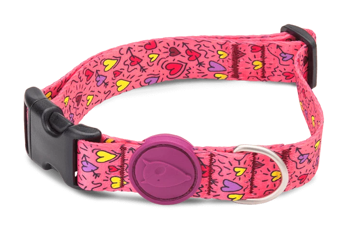 Collier pour chien Pink Think
