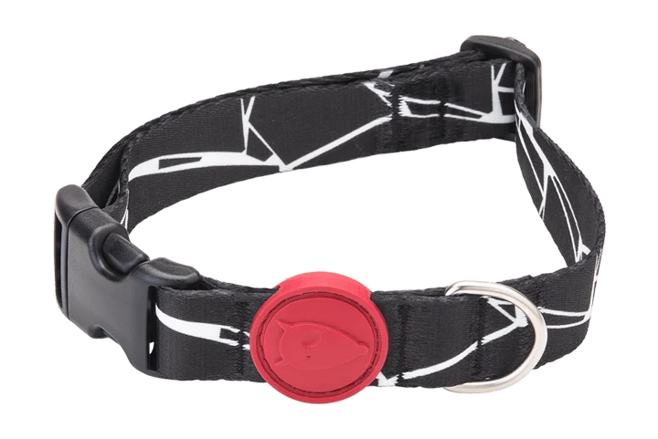 Collier pour chien Broken Self