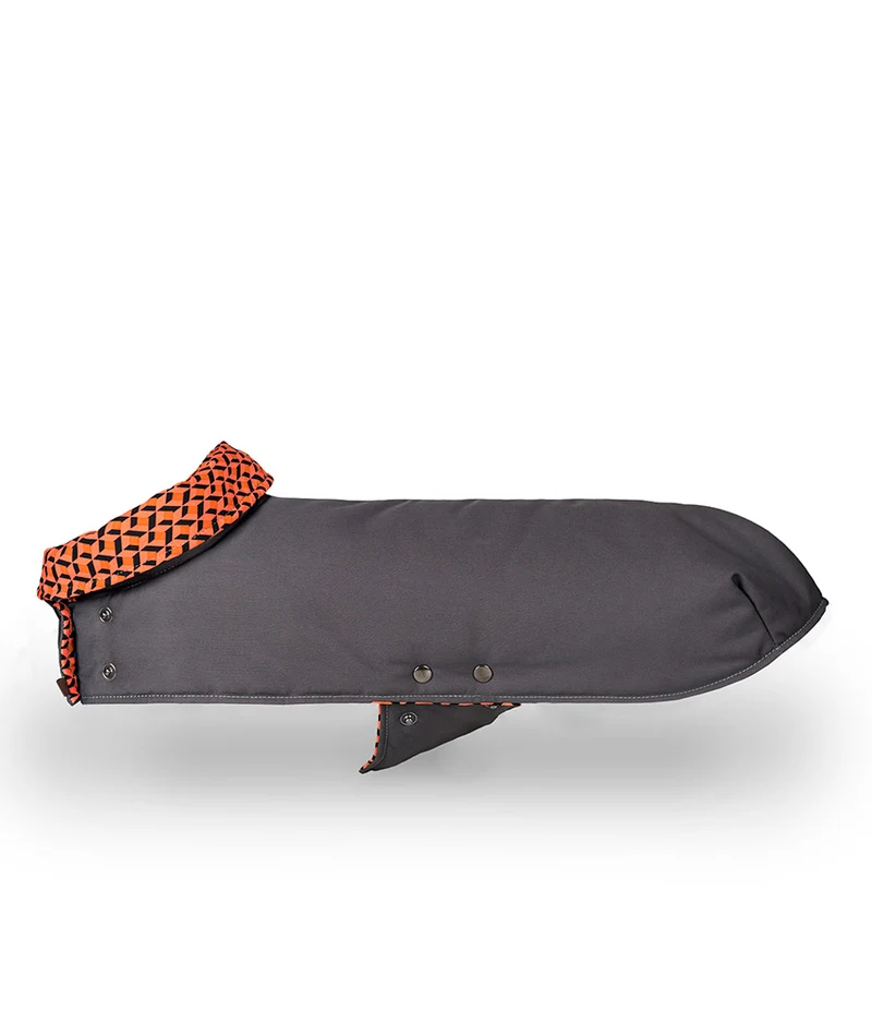 Manteau pour lévriers
