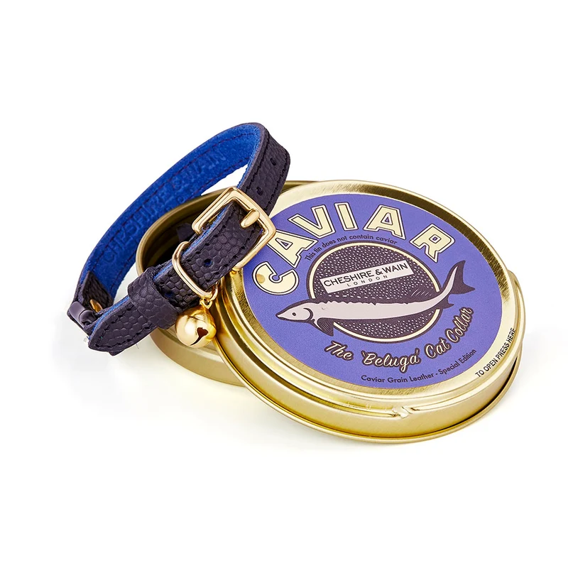 Collier pour chat en cuir Beluga Caviar