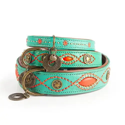 Collier pour chien en cuir Janis DWAM 💙