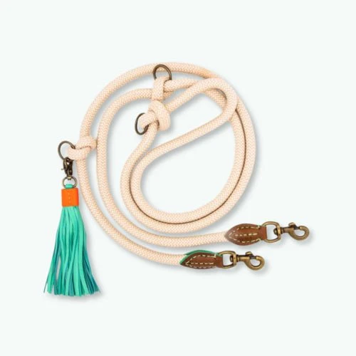 Laisse corde ajustable pour chien – Coloris sable chic & ultra pratique