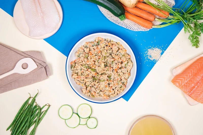 Recette Fraîche au Poisson Hypoallergénique - DOG CHEF