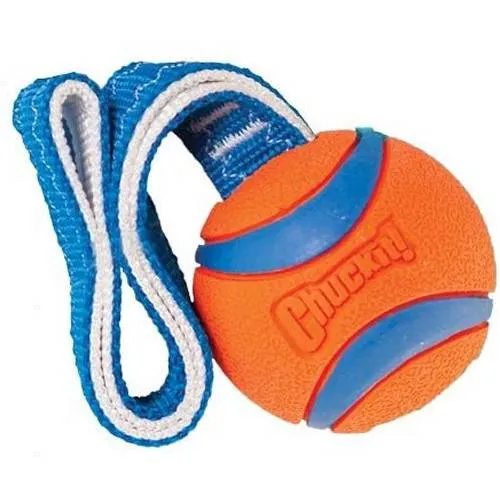 Balle pour chien Chuckit! avec sangle flottante