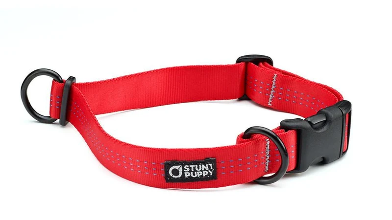 Collier pour chien souple Everyday (3 couleurs)