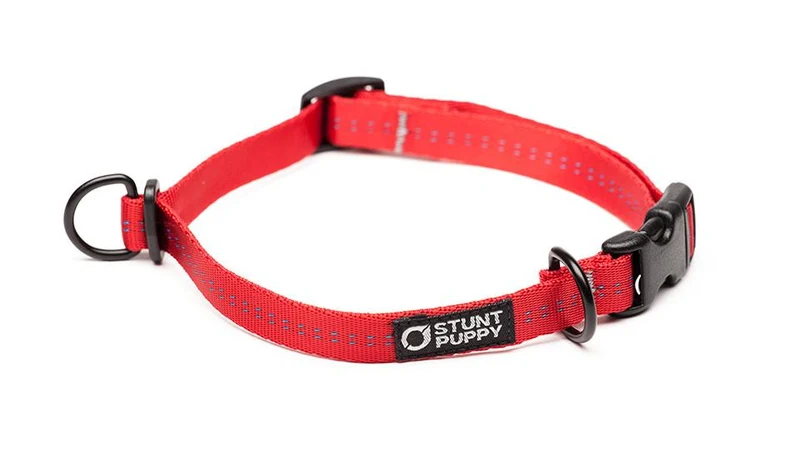 Collier pour chien souple Everyday (3 couleurs)