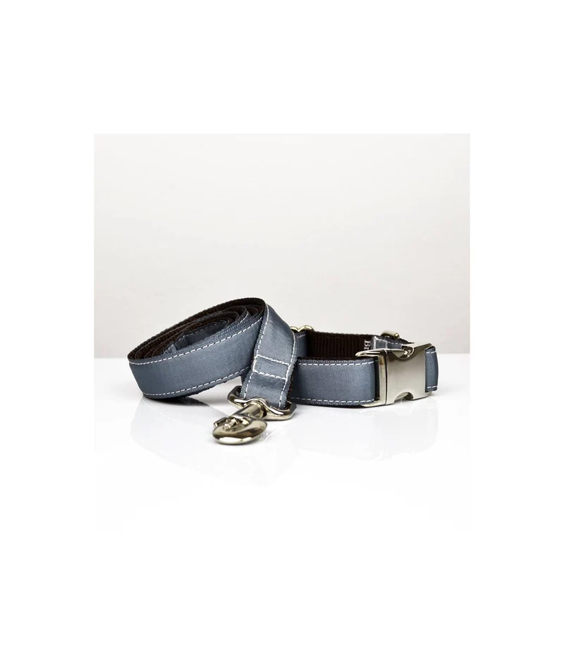 Laisse pour chien uni gris solid Grey