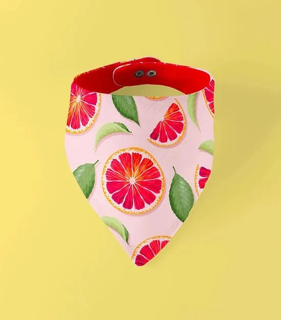 Bandana pour chien réversible Acidulé
